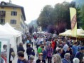 /album/galleria-foto/dsc07945-viale-fiera-jpg/